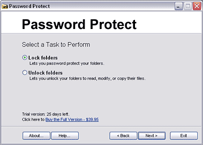 Protect Windows Application With Password